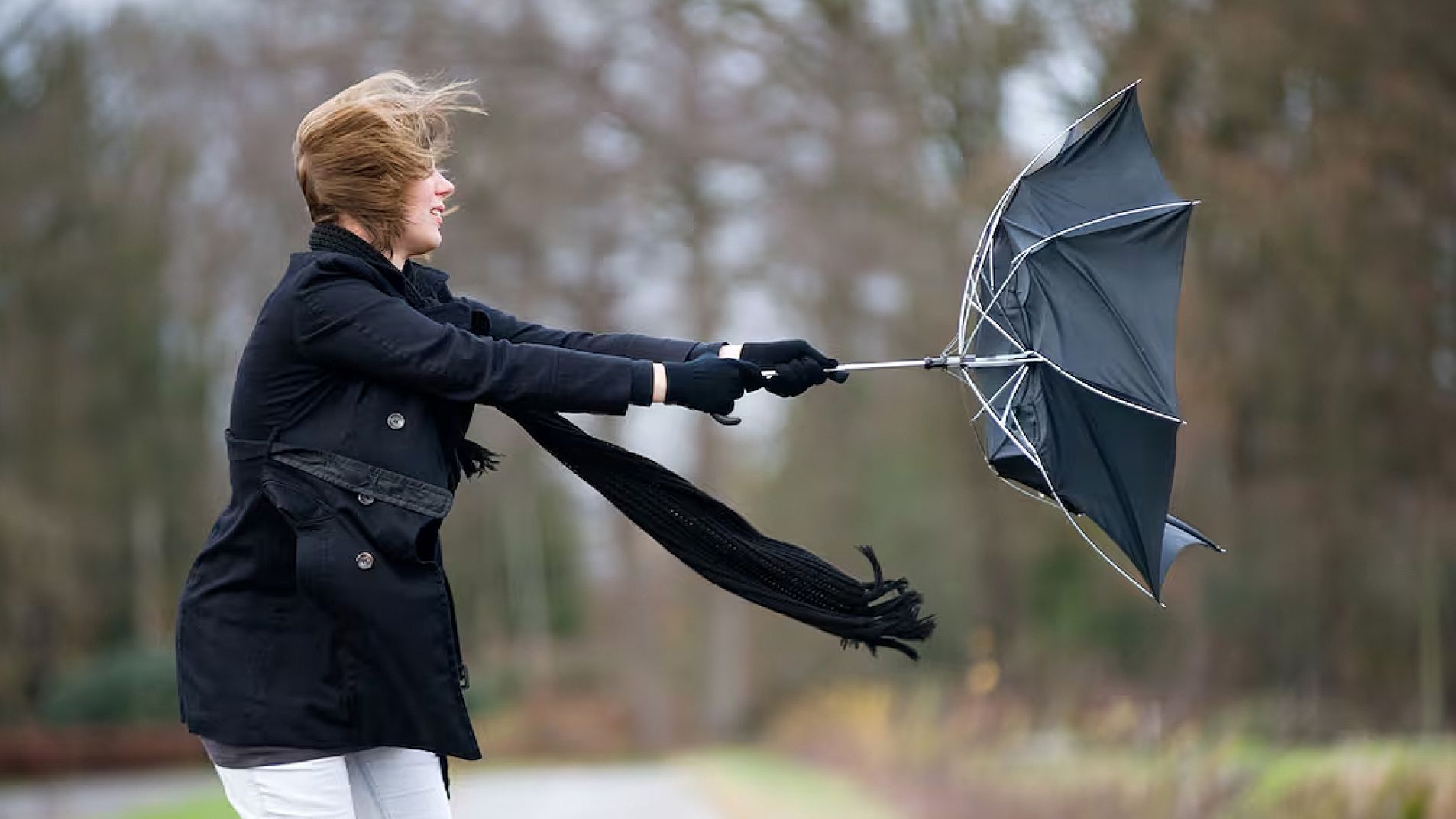 A Pesar Del Viento - InfoYa